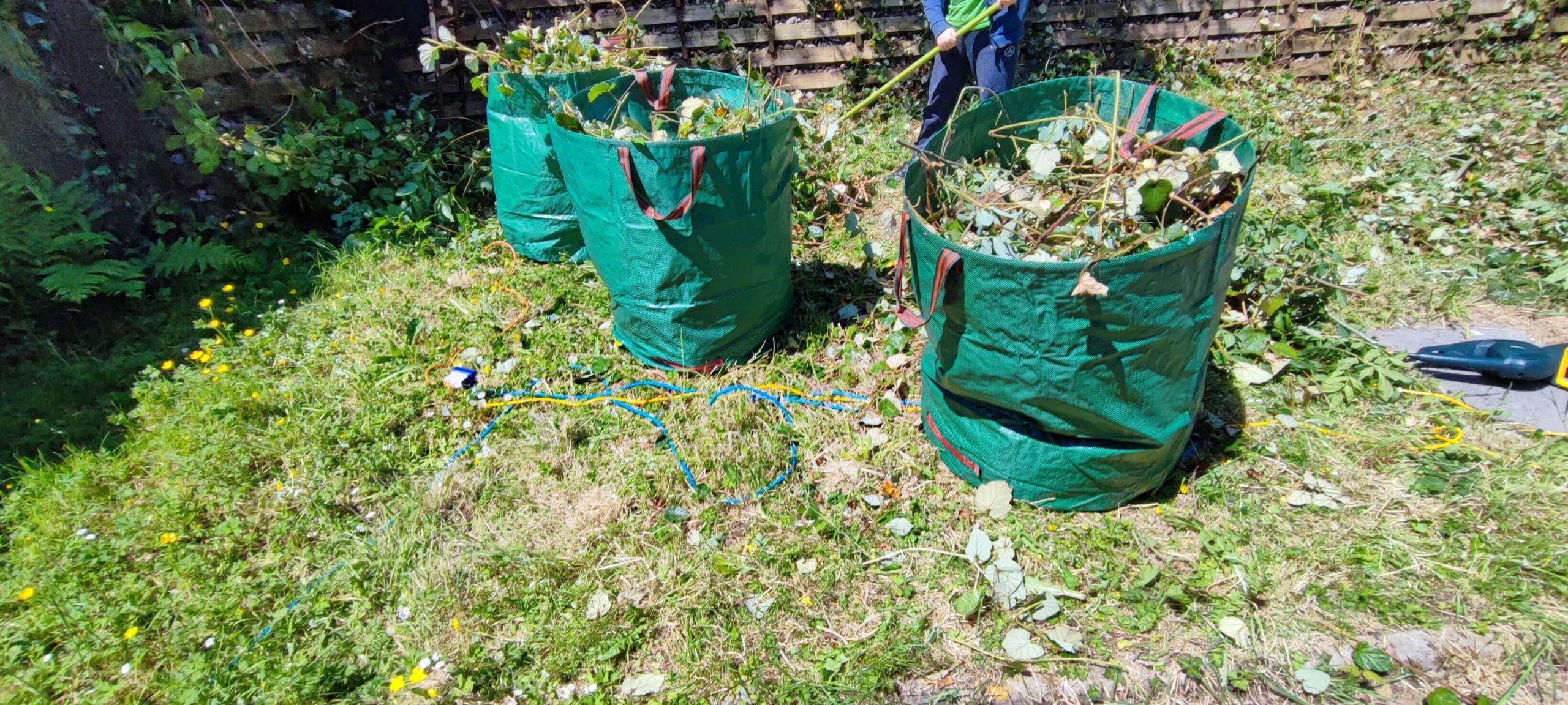 Green Waste Removals Welling DA16
